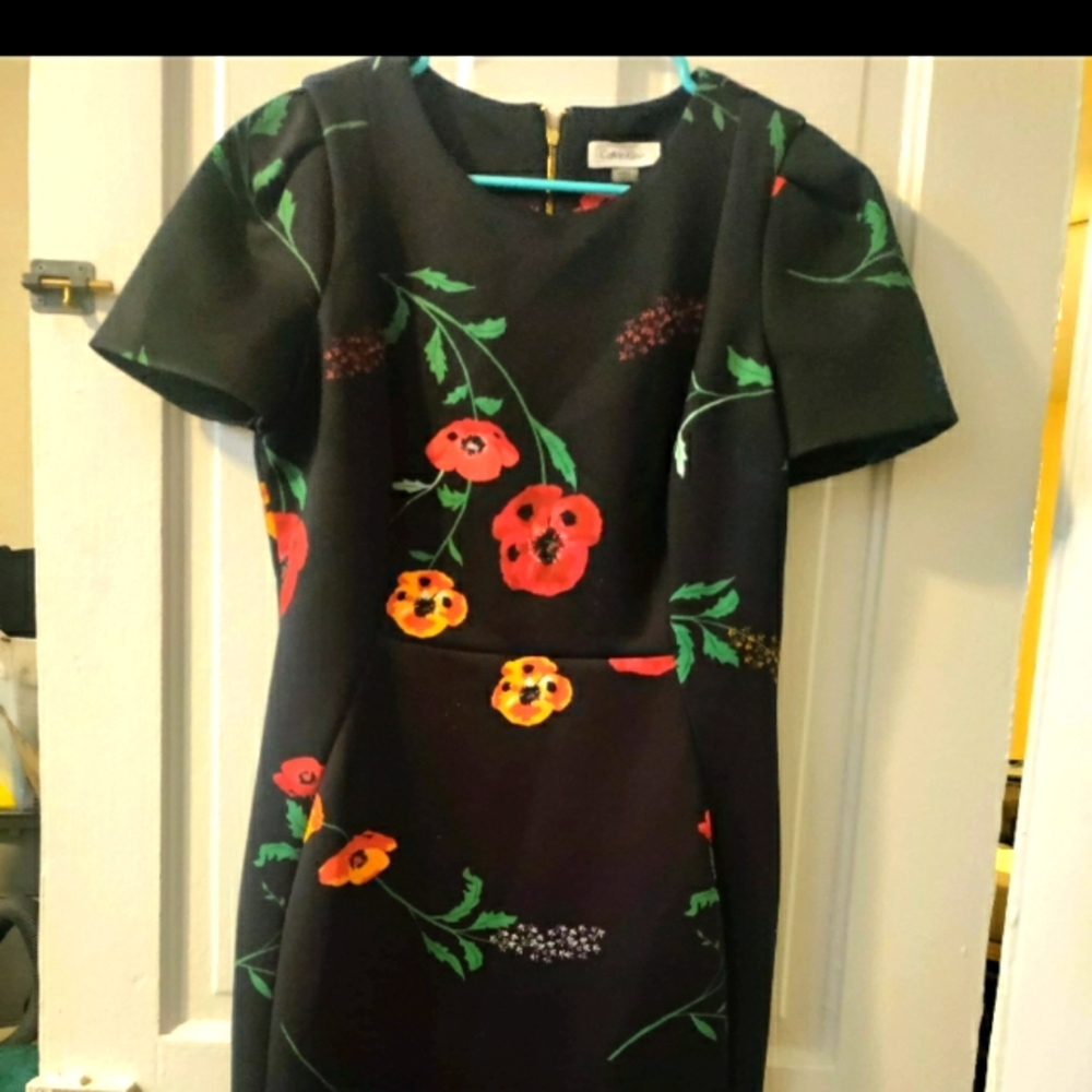 Calvin Klein black and red poppy dress . Sz 12